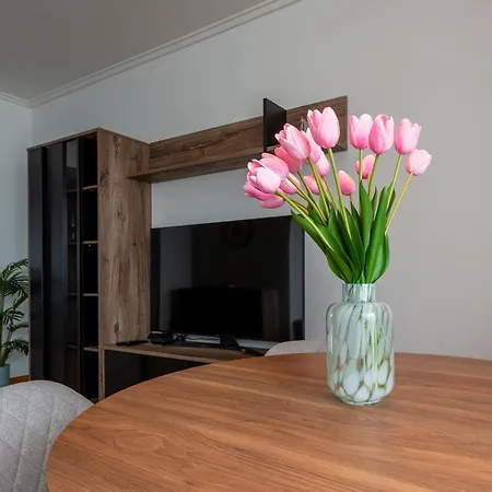 Sky View - Spacious With Pool & Gym Apartman Funchal